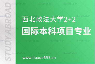 西北政法大学2+2国际本科项目有哪些专业？
