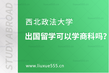 西北政法大学出国留学可以学商科吗？