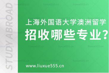 上海外国语大学澳大利亚国际本科项目招收哪些专业？