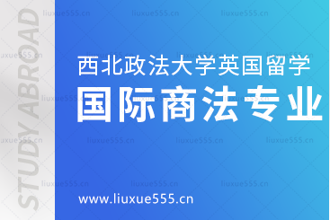 西南政法大学英国2+2项目--国际商法专业