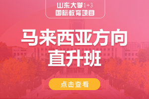马来西亚方向直升班