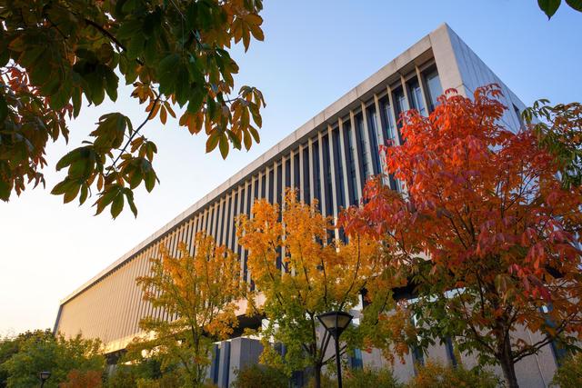 2022中央财经大学工商管理国际本科项目介绍