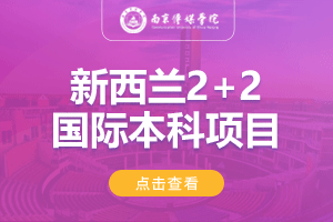 2024南京传媒学院新西兰2+2留学项目招生简章