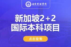2024南京传媒学院新加坡2+2留学项目招生简章