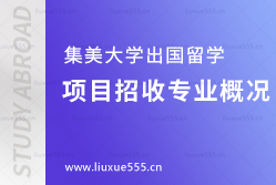 集美大学出国留学项目招收专业概况