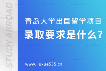 青岛大学出国留学项目的录取要求是什么？