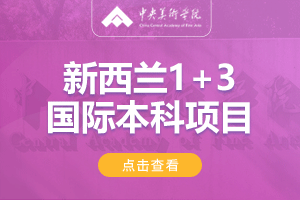 中央美术学院新西兰1+3出国留学项目招生简章