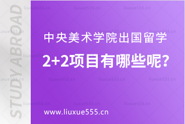中央美术学院出国留学2+2项目有哪些呢？