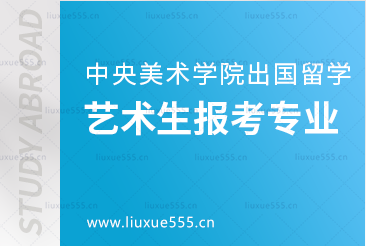 中央美术学院出国留学韩国3+1的艺术生可报考哪些专业？