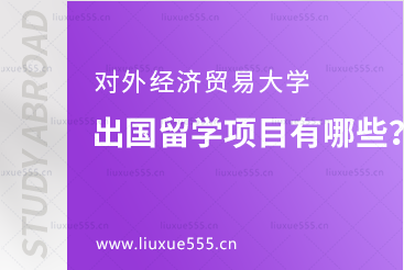 对外经济贸易大学出国留学项目有哪些？