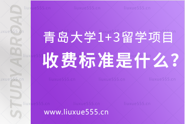 青岛大学1+3留学项目收费标准是什么？