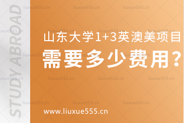 山东大学美英澳国际教育项目需要多少费用？