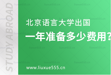 北京语言大学出国一年需要准备多少费用？