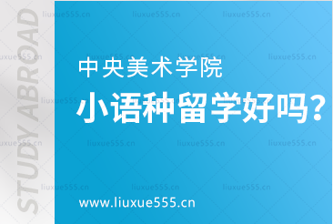 中央美术学院小语种留学好吗？