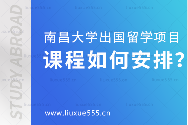 南昌大学留学项目的课程是如何安排的？