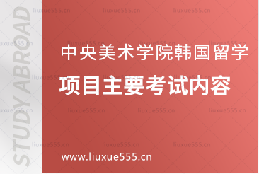 中央美术学院韩国留学项目主要考试内容有哪些？