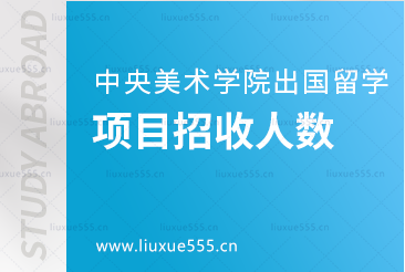 中央美术学院出国留学项目招收人数