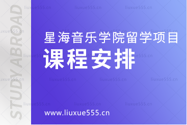 星海音乐学院留学项目的课程安排