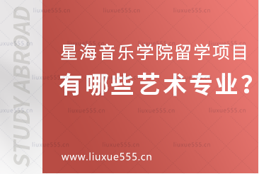 星海音乐学院留学项目有哪些艺术专业？