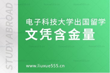 电子科技大学出国留学项目文凭含金量怎么样？