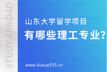 山东大学美英澳国际教育项目有哪些理工类专业？