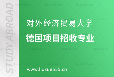 对外经济贸易大学青岛研究院德国0.5+1+3项目招收专业