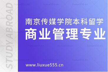 南京传媒学院本科留学商业管理专业解析