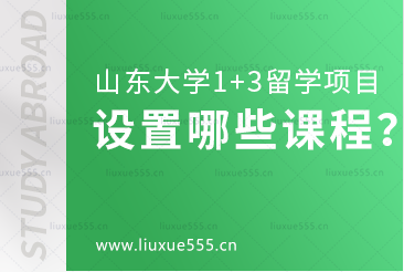 山东大学美英澳国际教育项目设置哪些课程？