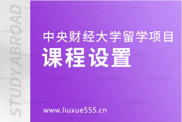 中央财经大学保险学院留学项目的课程设置