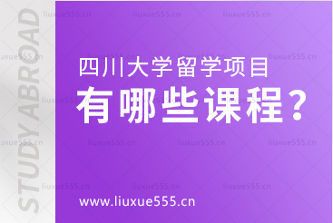 四川大学留学项目有哪些课程？