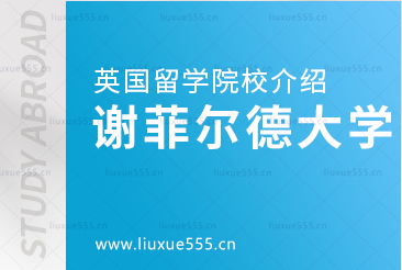 释放可再生能源的潜力：谢菲尔德大学的可持续能源工程