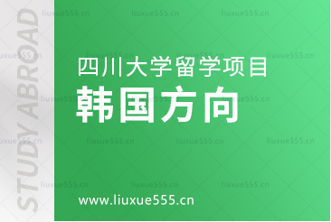 去韩国留学可以选择的四川大学留学项目