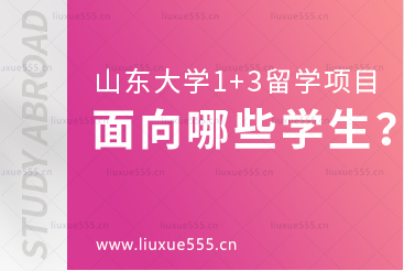 山东大学美英澳国际教育项目面向哪些学生招生？