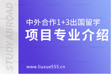 中外合作办学1+3项目有哪些专业？