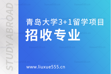青岛大学3+1留学项目招收专业