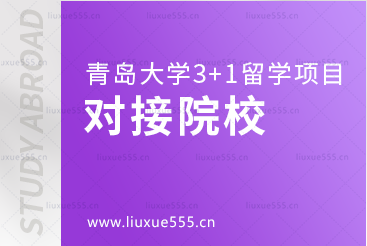 青岛大学3+1留学项目对接院校