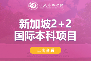 2024山东艺术学院新加坡2+2国际本科项目招生简章