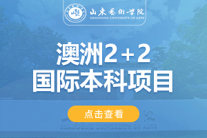 2024山东艺术学院澳大利亚2+2国际本科项目招生简章