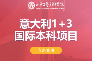 2024山东工艺美术学院意大利1+3国际本科项目