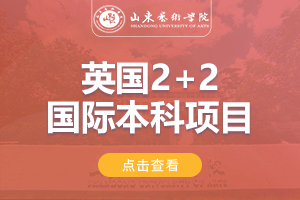 2024山东艺术学院英国2+2国际本科项目招生简章