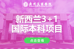 2024广州工商学院新西兰3+1国际本科项目