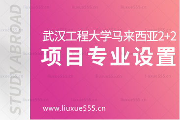 武汉工程大学马来西亚2+2国际本科项目有哪些专业呢？