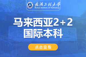 2024武汉工程大学马来西亚2+2国际本科项目招生简章