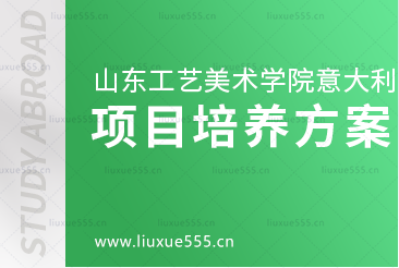 山东工艺美术学院意大利1+3国际本科项目培养方案是什么呢？