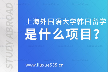 上海外国语大学韩国1+4国际本科项目是什么项目？