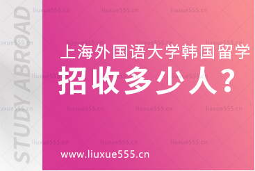 上海外国语大学韩国1+4国际本科项目招收多少人？