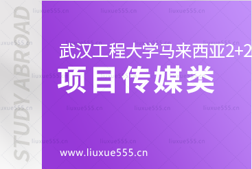 武汉工程大学马来西亚2+2国际本科项目有哪些传媒艺术类专业呢？