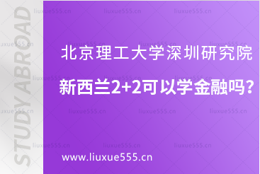 北京理工大学深圳研究院新西兰2+2可以学金融吗？