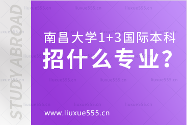 南昌大学1+3国际本科项目招什么专业？