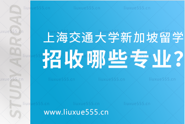 上海交通大学新加坡国际本科项目招收哪些专业？